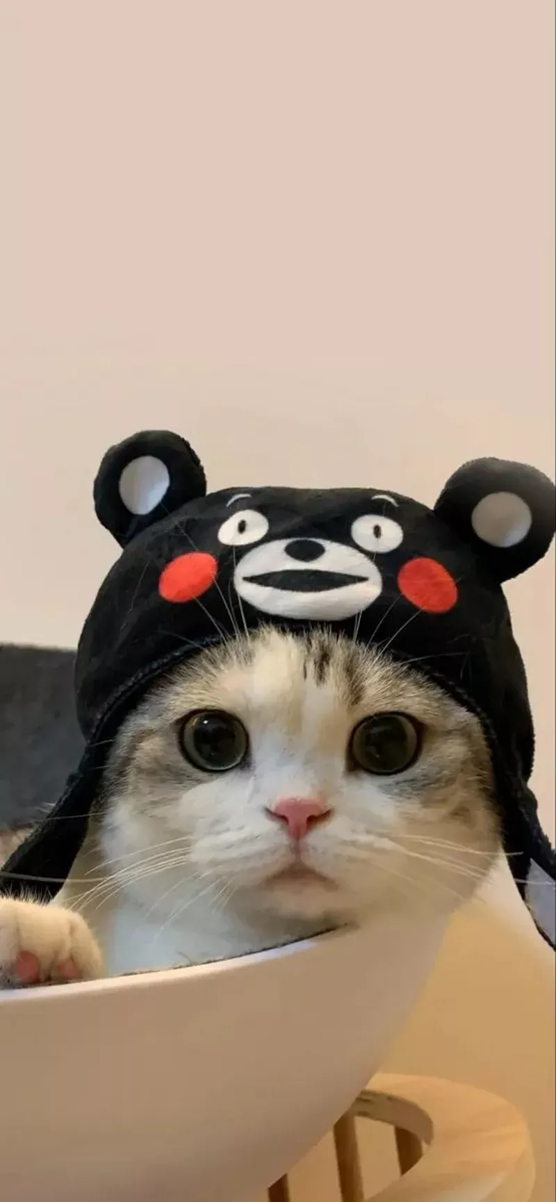 hình nền hài hước 20