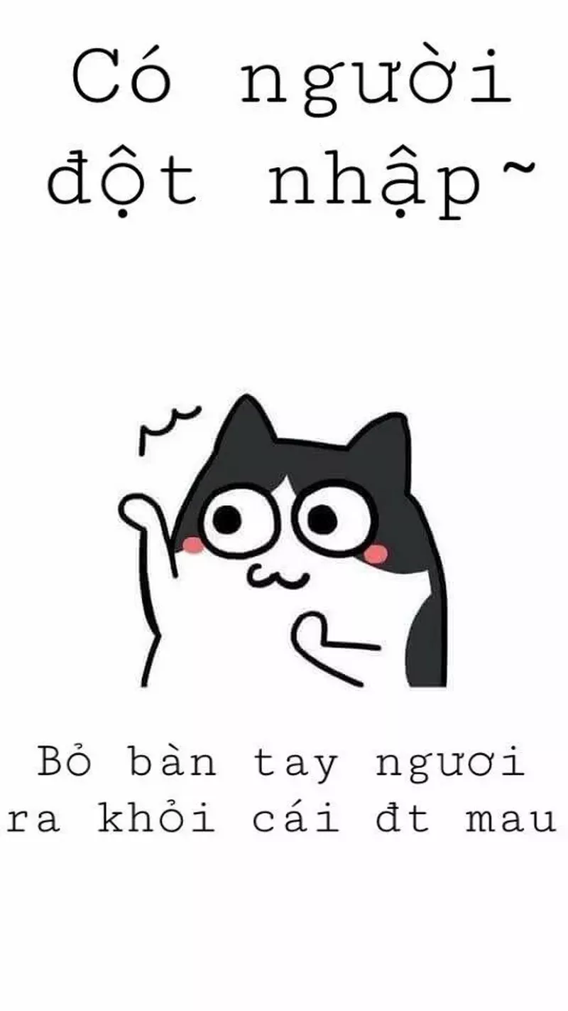 hình nền hài hước 27