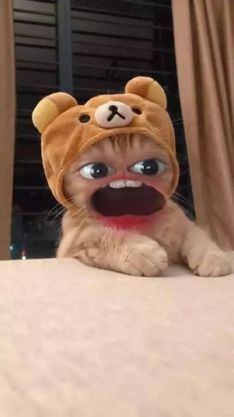 hình nền hài hước 31