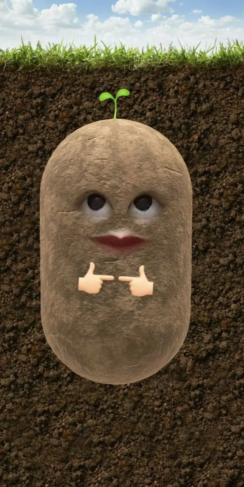 hình nền hài hước 32