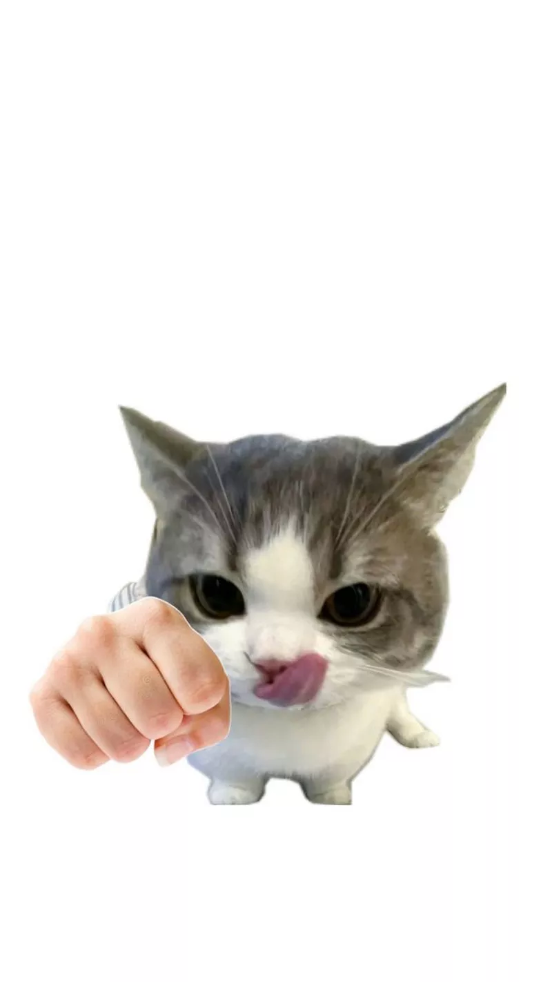 hình nền hài hước 48