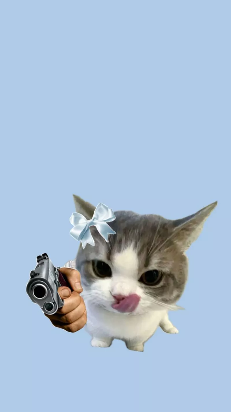 hình nền hài hước 49