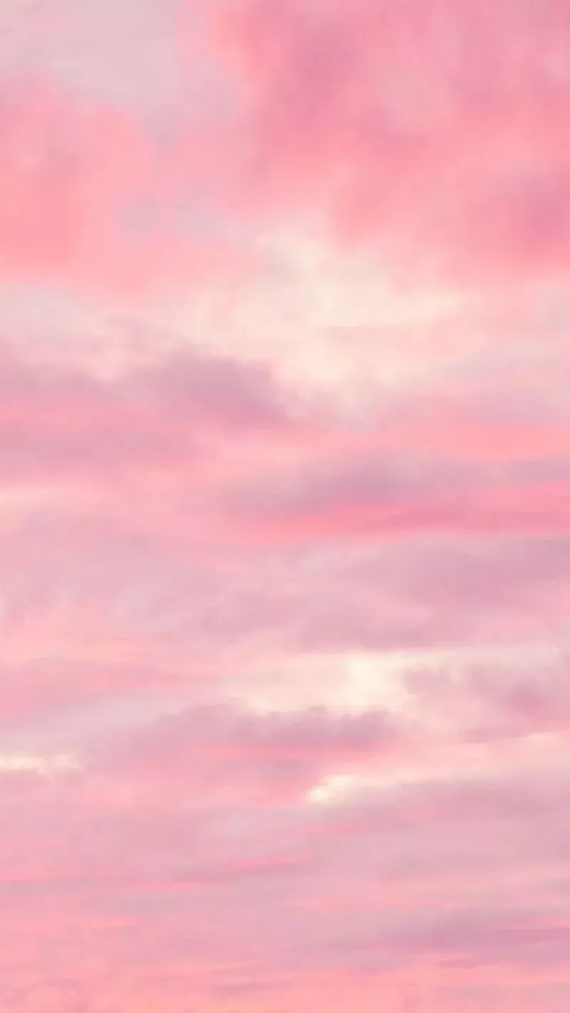 hình nền màu hồng 23