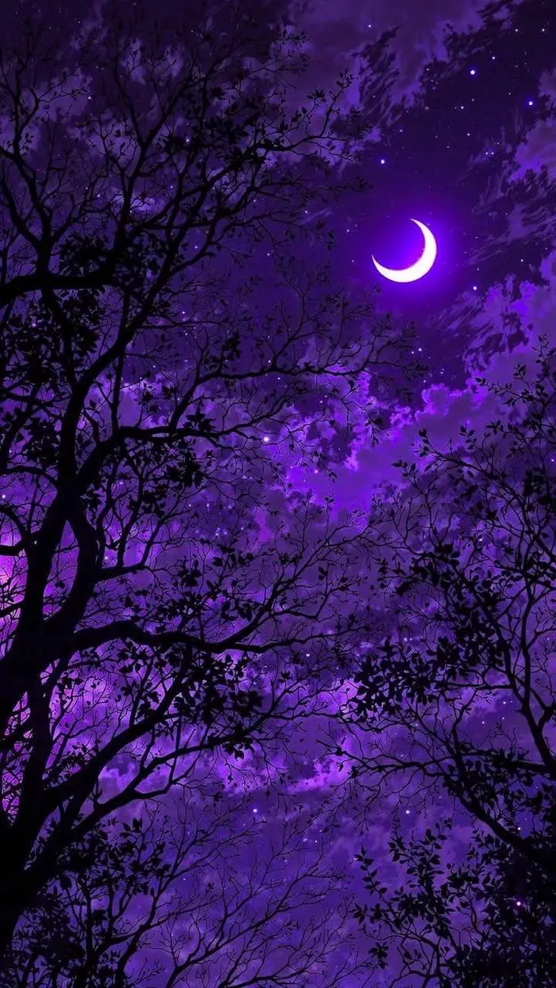 hình nền màu tím 21