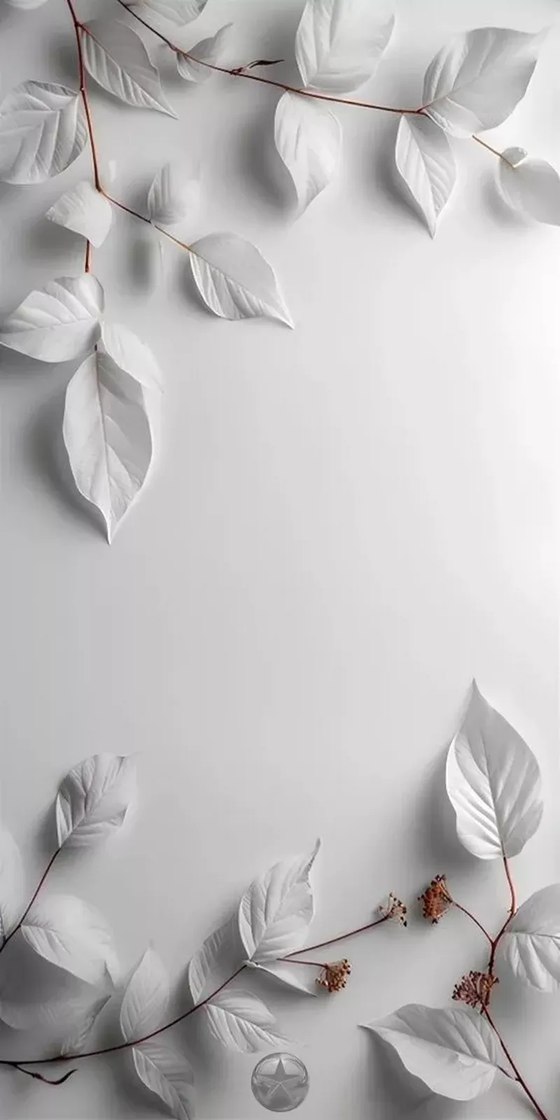 hình nền trắng 10