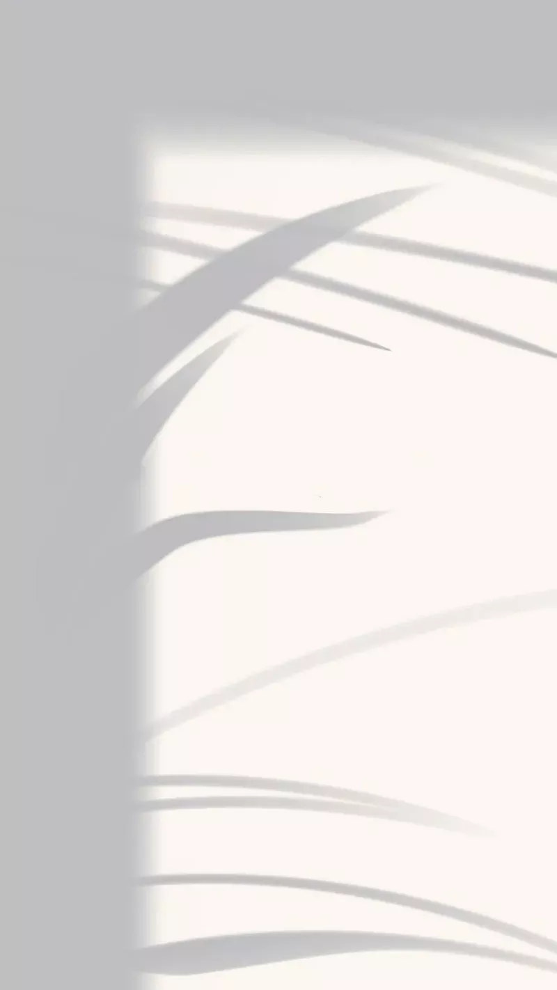 hình nền trắng 28