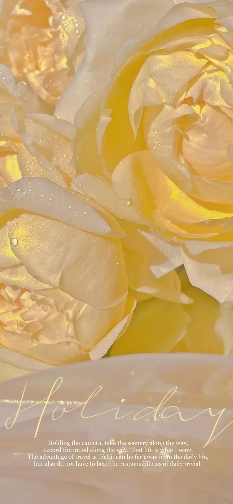 hình nền màu vàng 22