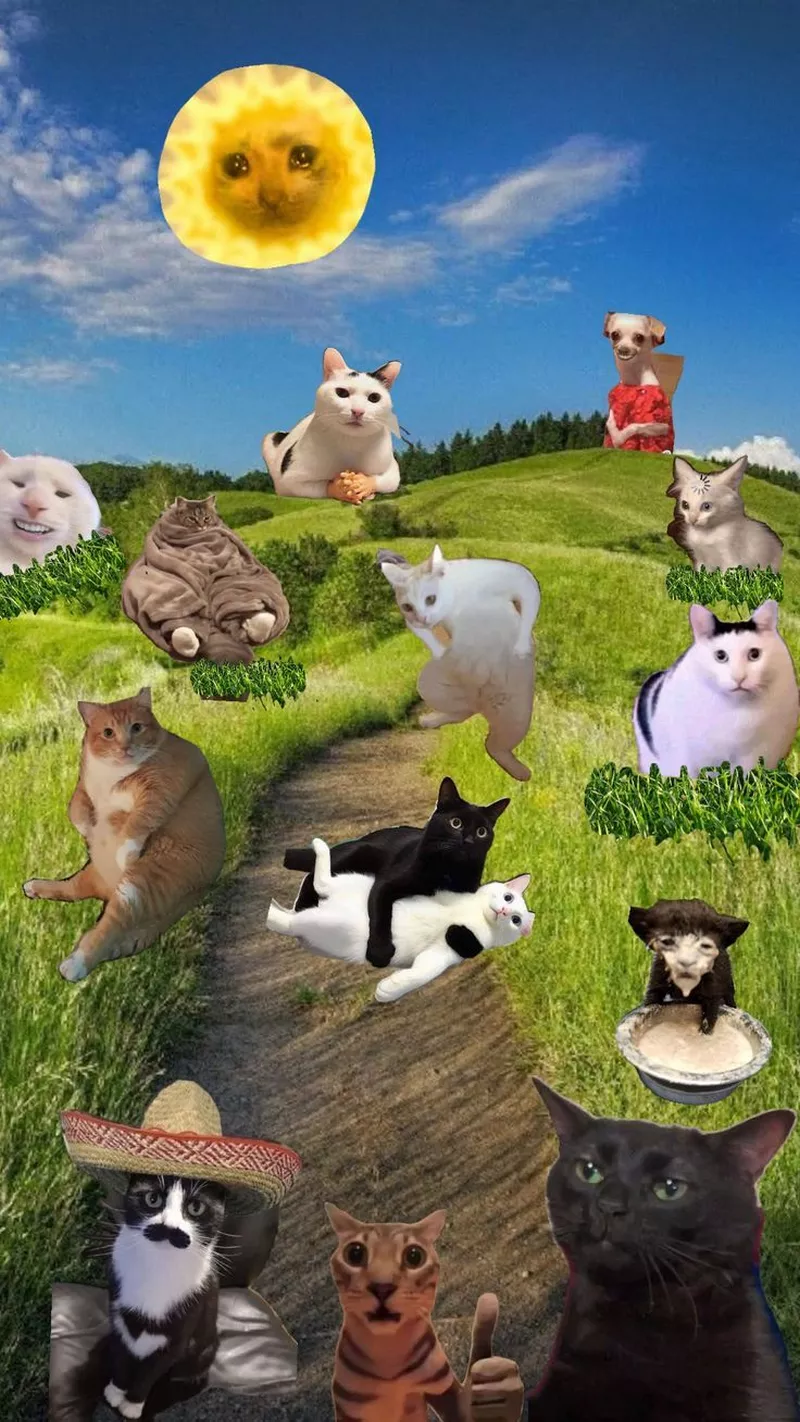 hình nền vô tri 20