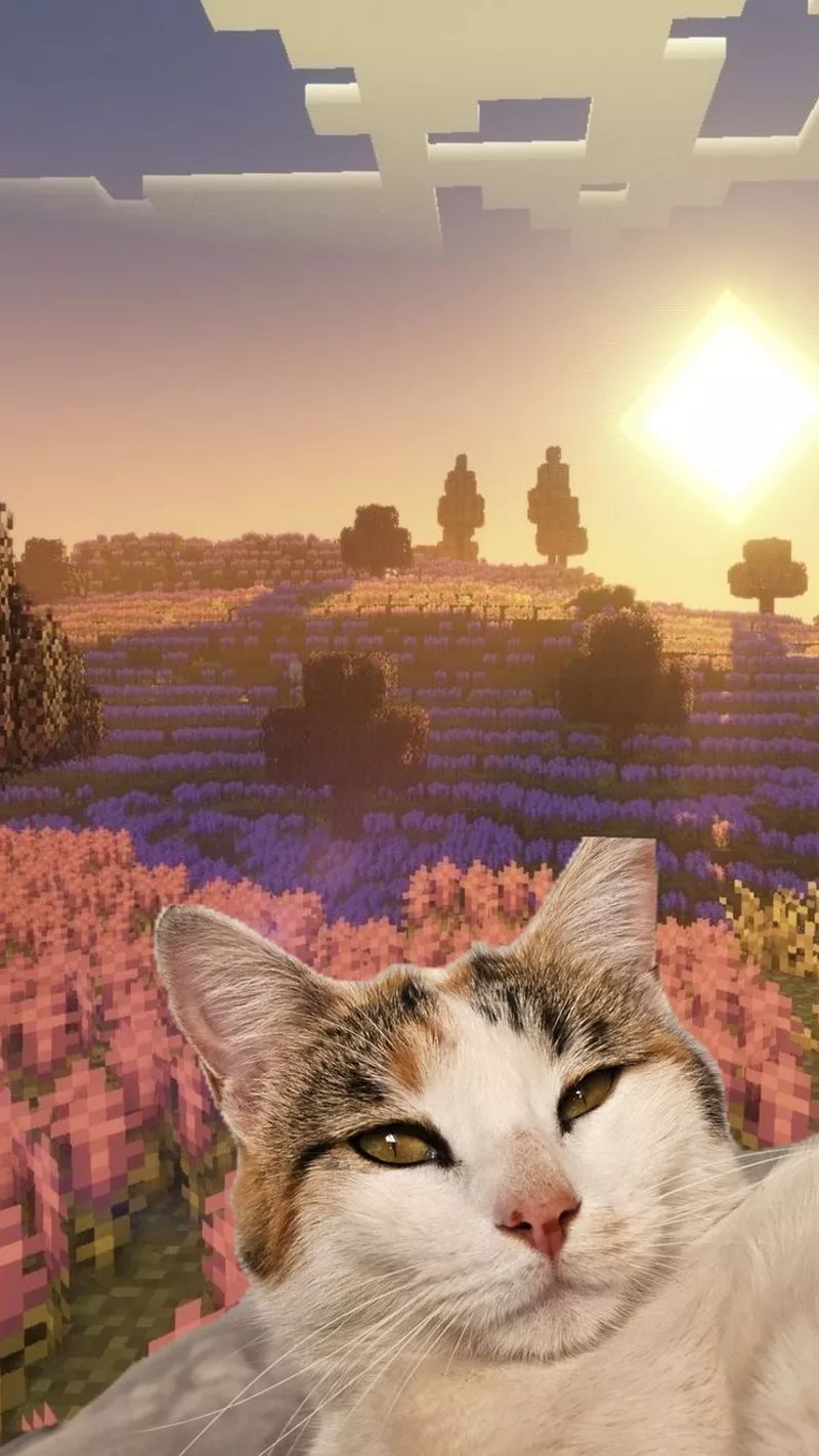 hình nền vô tri 24