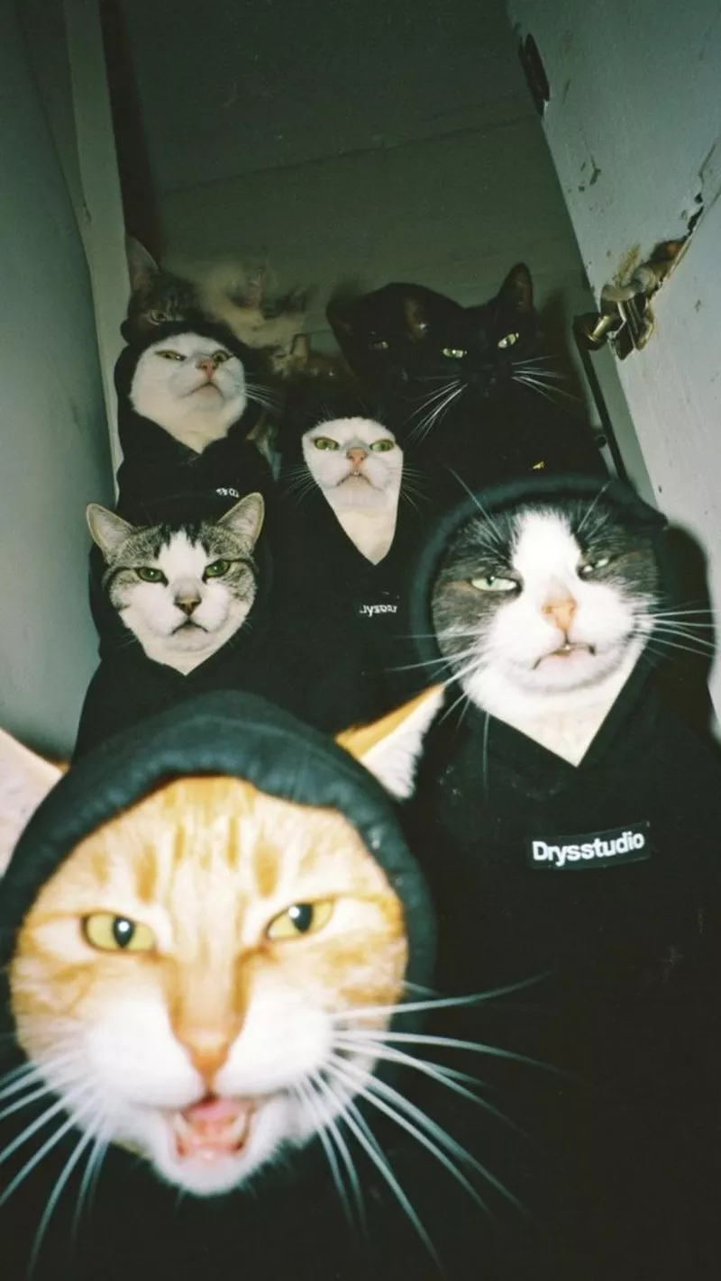 hình nền vô tri 41