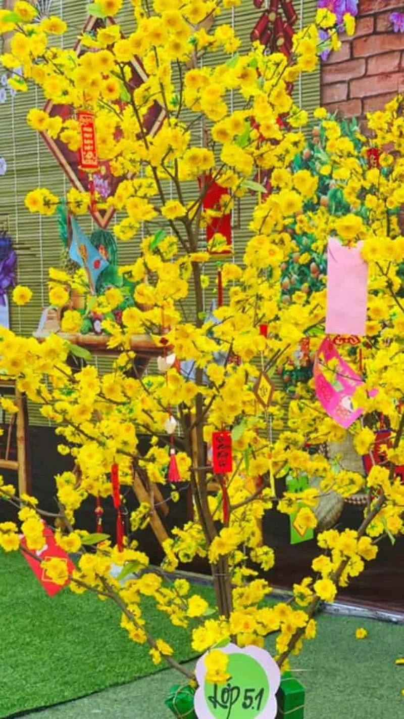 hình nền hoa mai 35