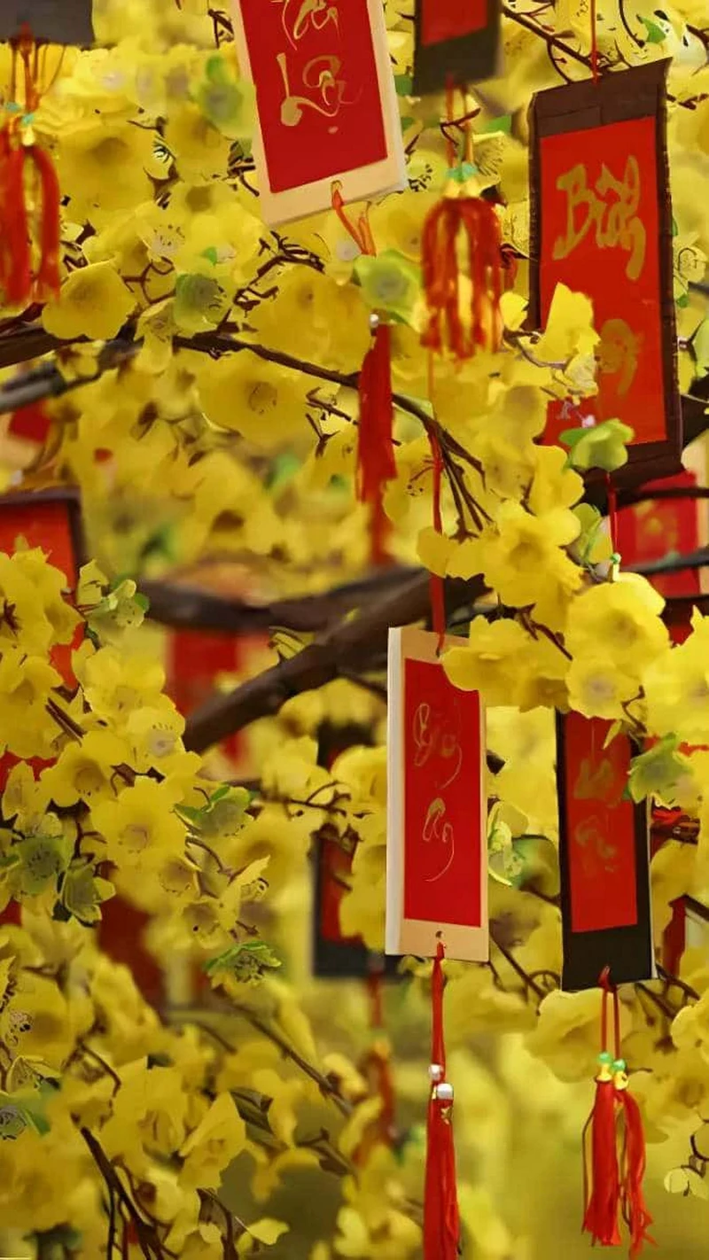 hình nền hoa mai 37