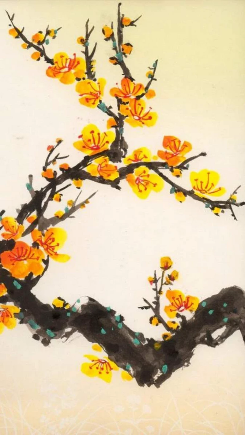 hình nền hoa mai 47