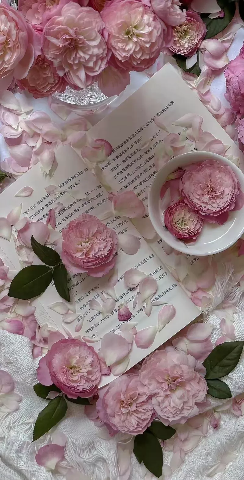 hình nền hoa mẫu đơn 3