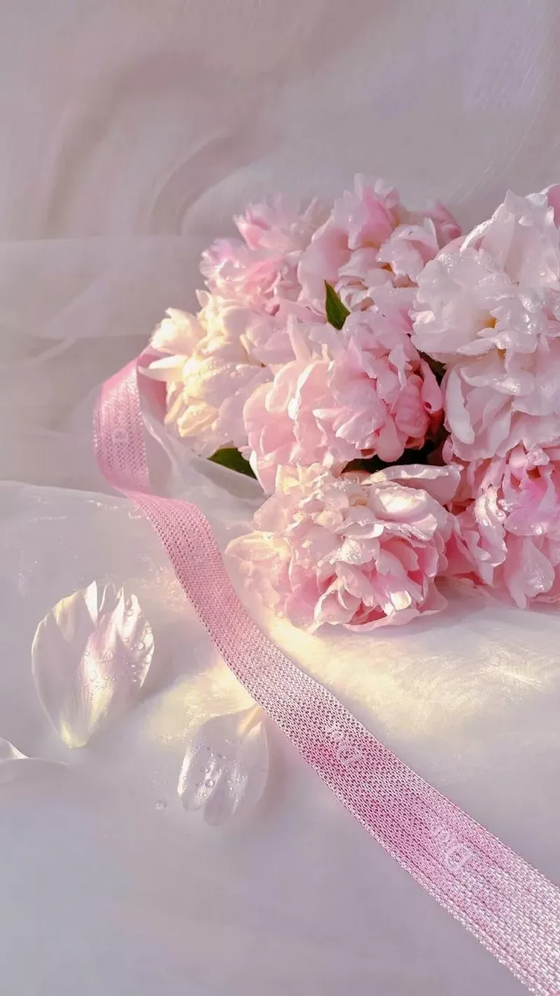 hình nền hoa mẫu đơn 30