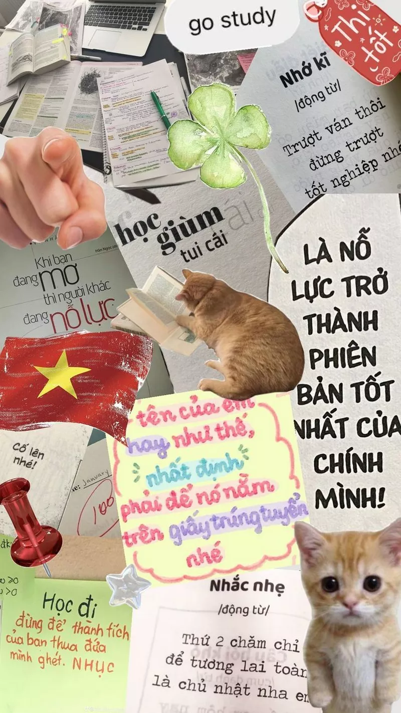 hình nền học tập 47