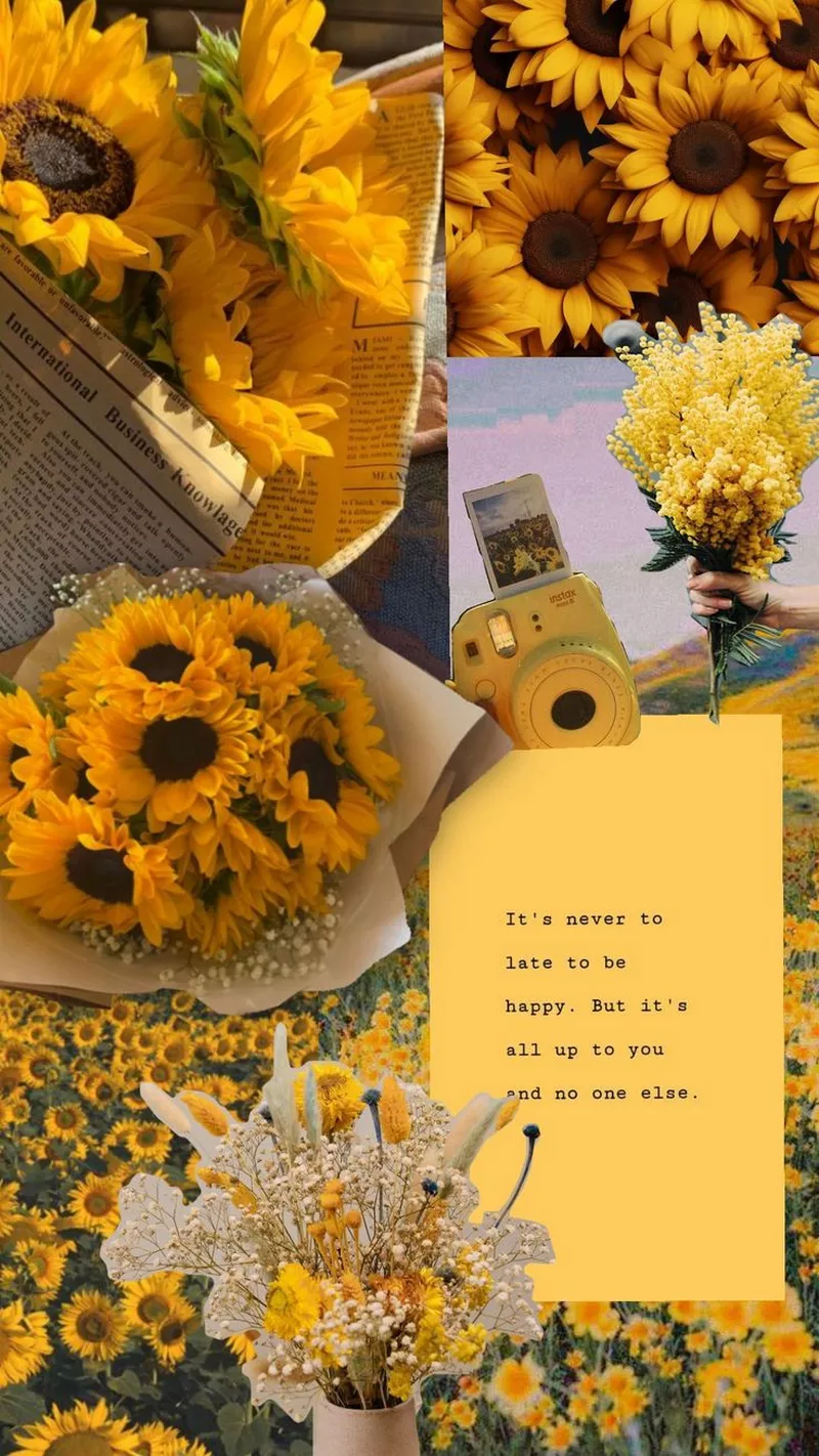 hình nền hoa hướng dương 22