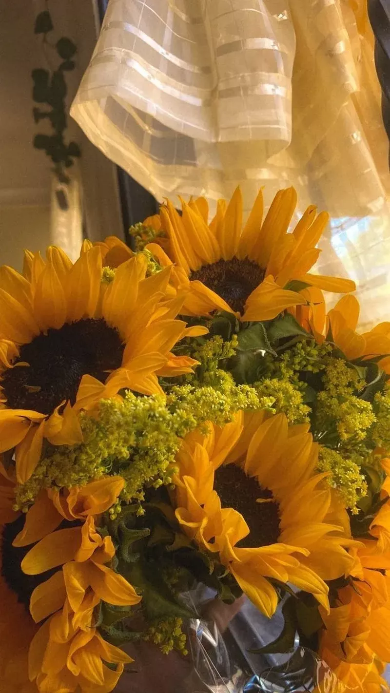 hình nền hoa hướng dương 40