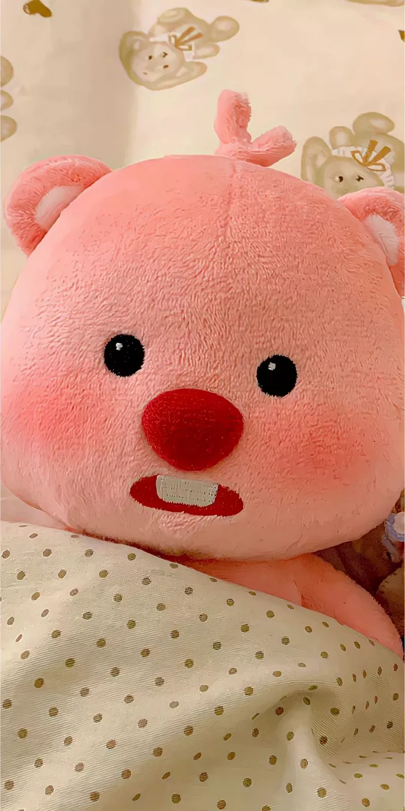 hình nền loopy 41