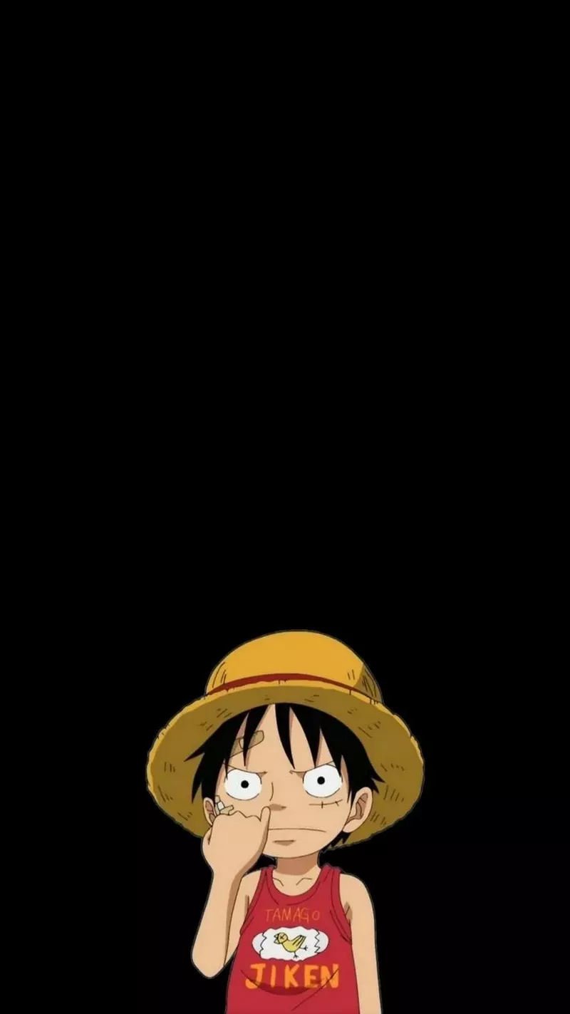 hình nền luffy 38