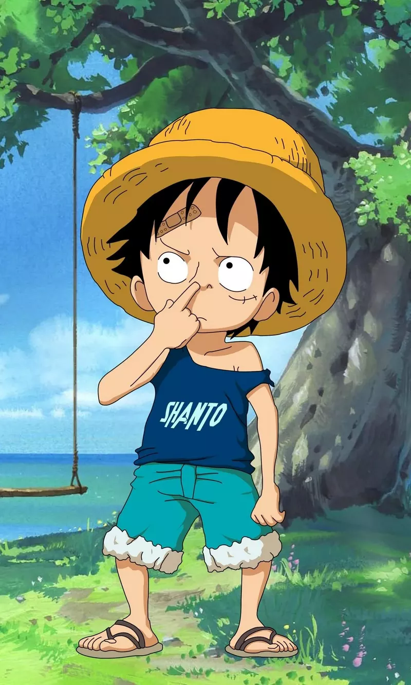 hình nền luffy 4