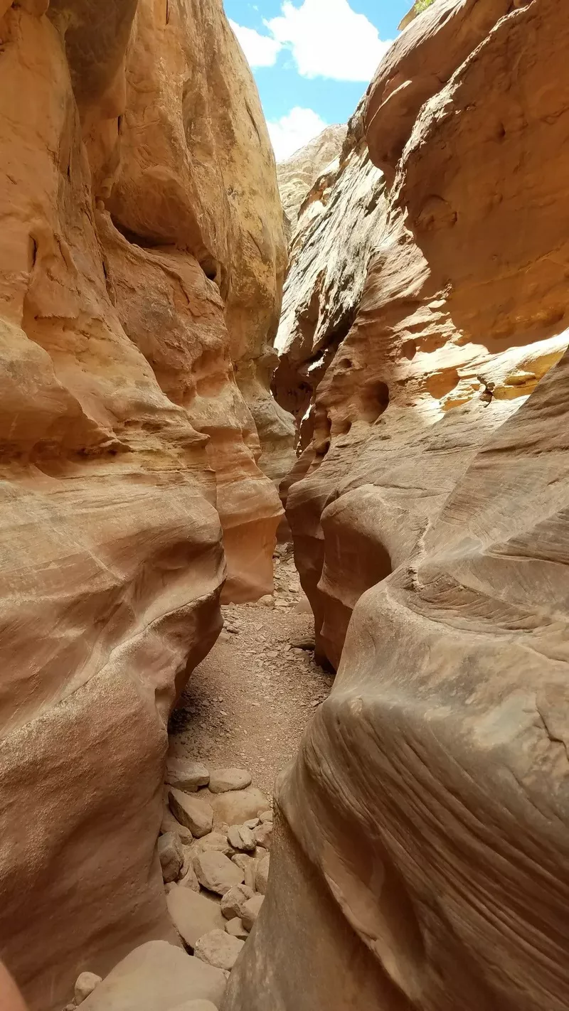 hình nền mệnh thổ 26