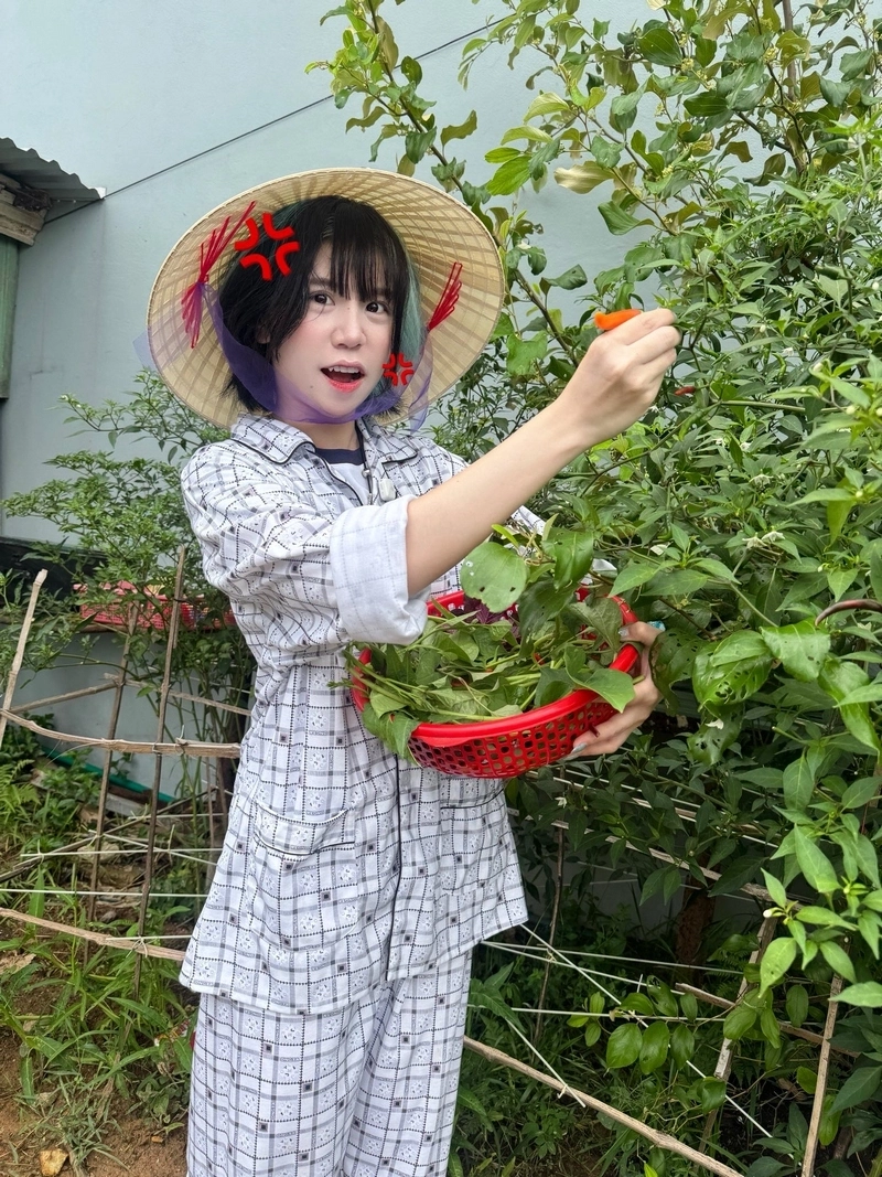 hình nền mèo simmy 26