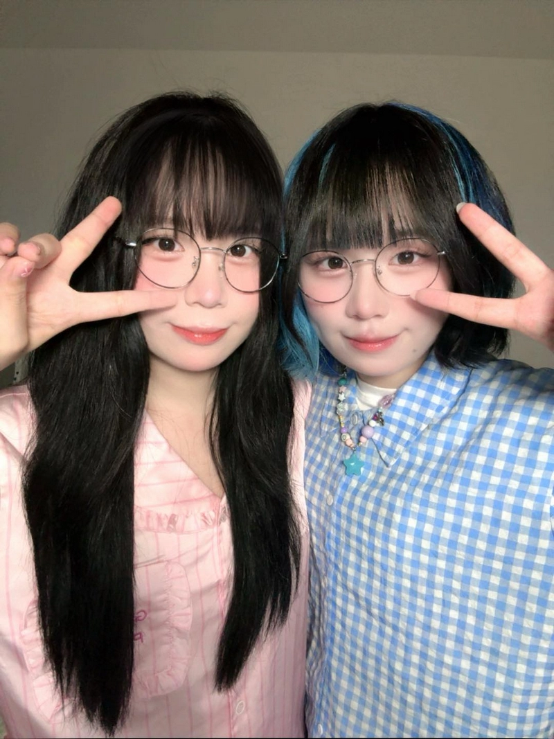 hình nền mèo simmy 31