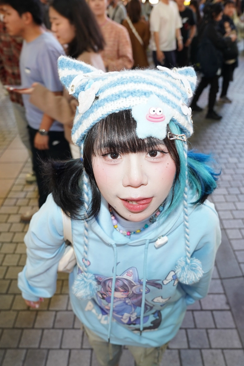 hình nền mèo simmy 7