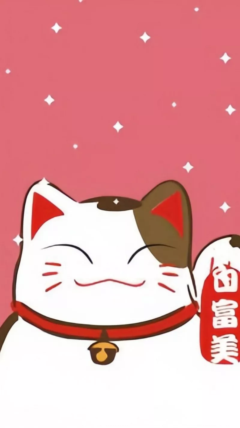 hình nền mèo thần tài 16