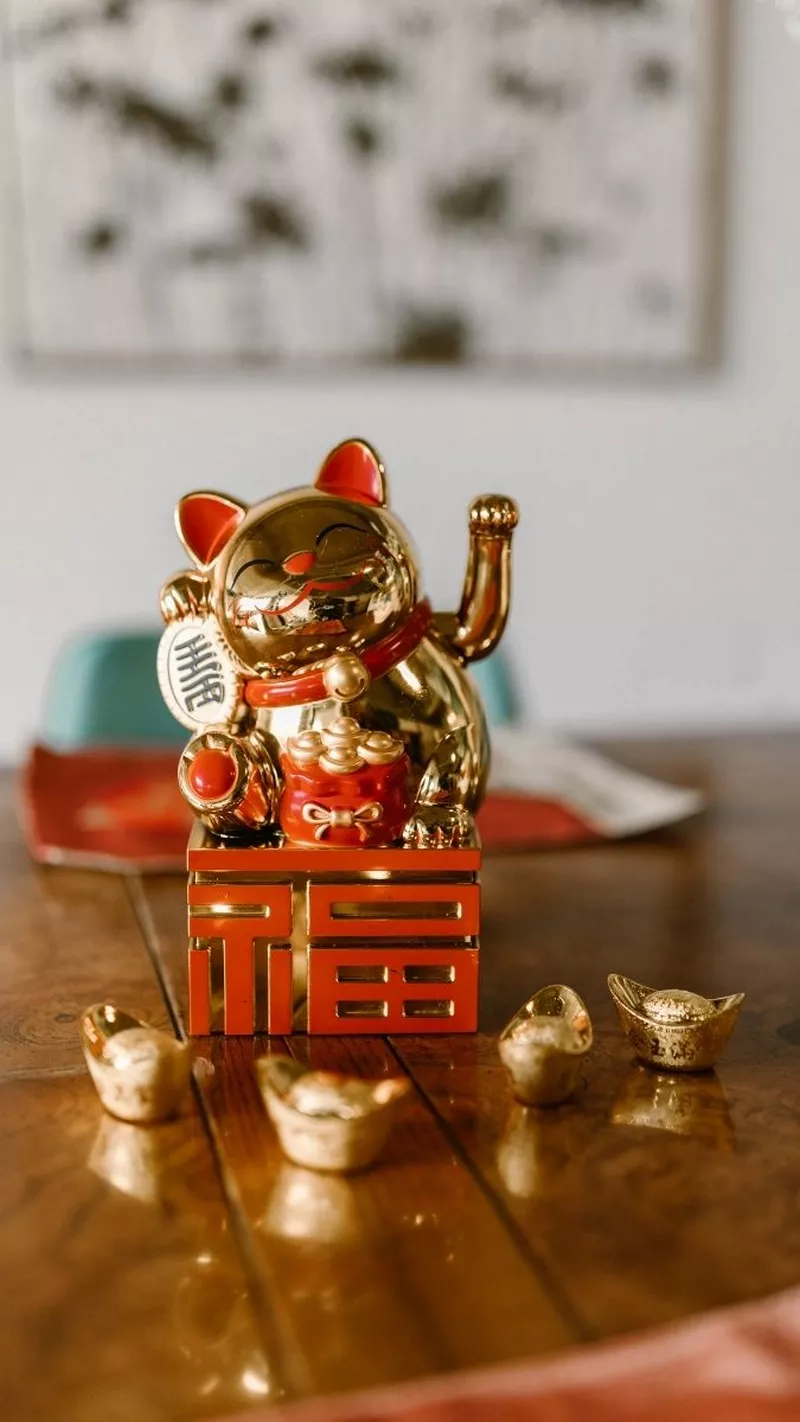 hình nền mèo thần tài 21