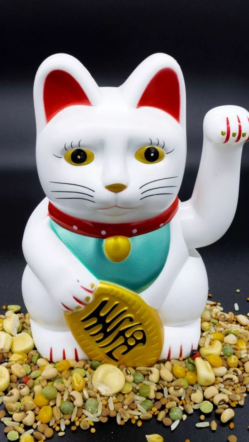 hình nền mèo thần tài 22