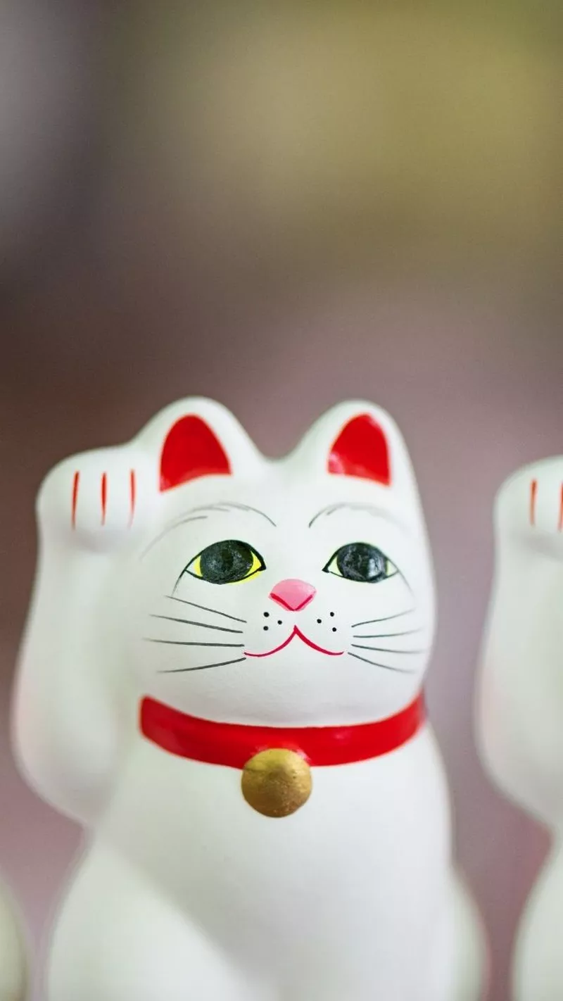 hình nền mèo thần tài 23