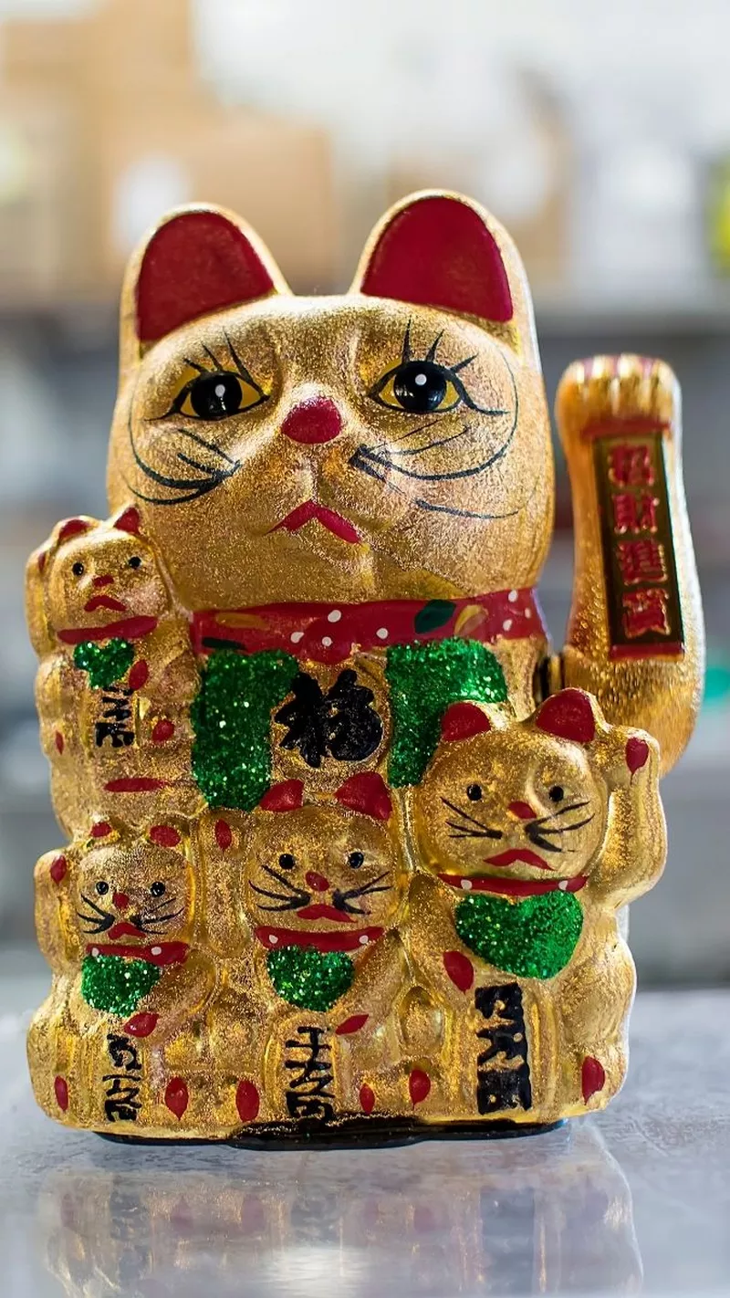 hình nền mèo thần tài 28