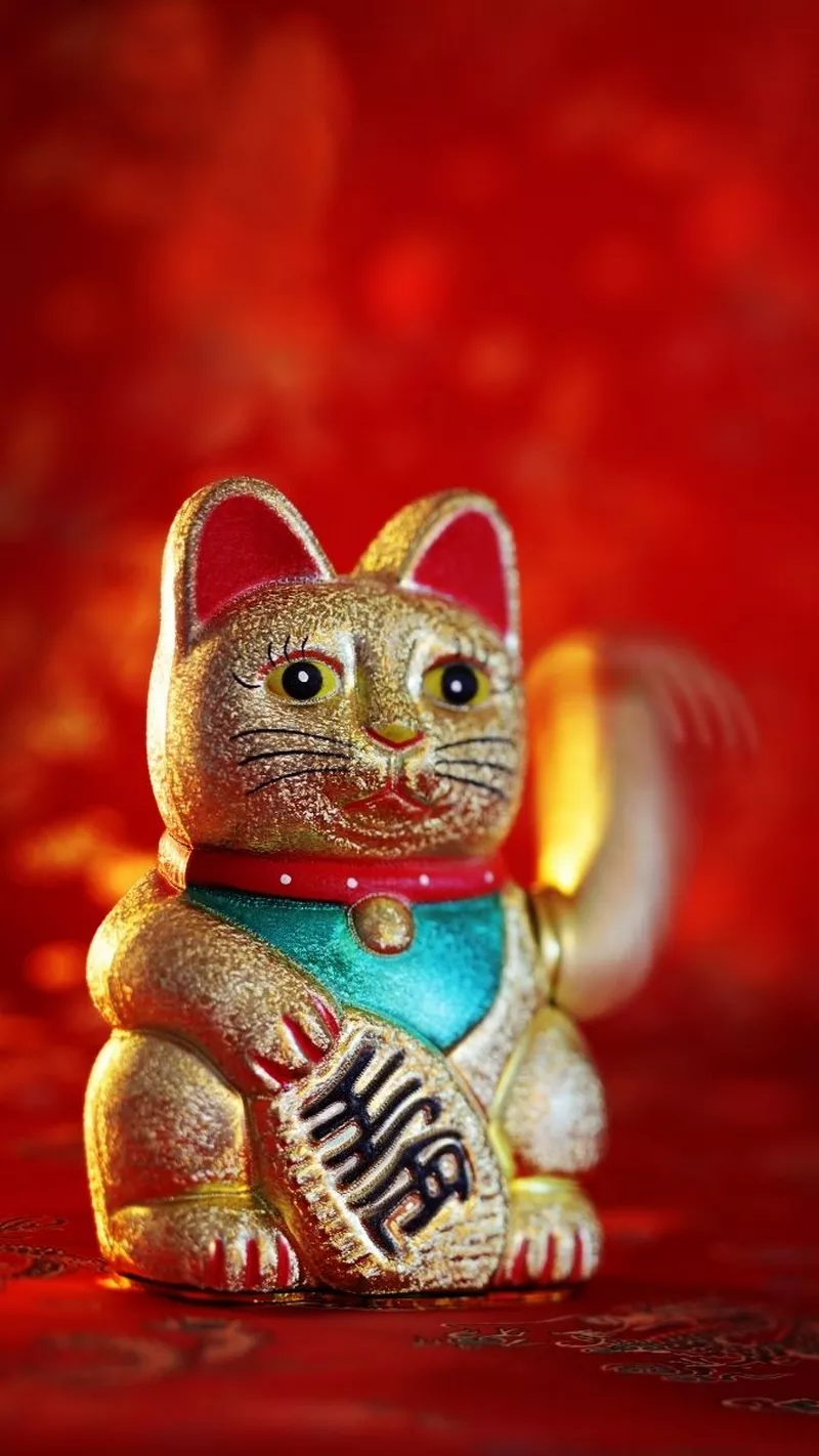 hình nền mèo thần tài 29