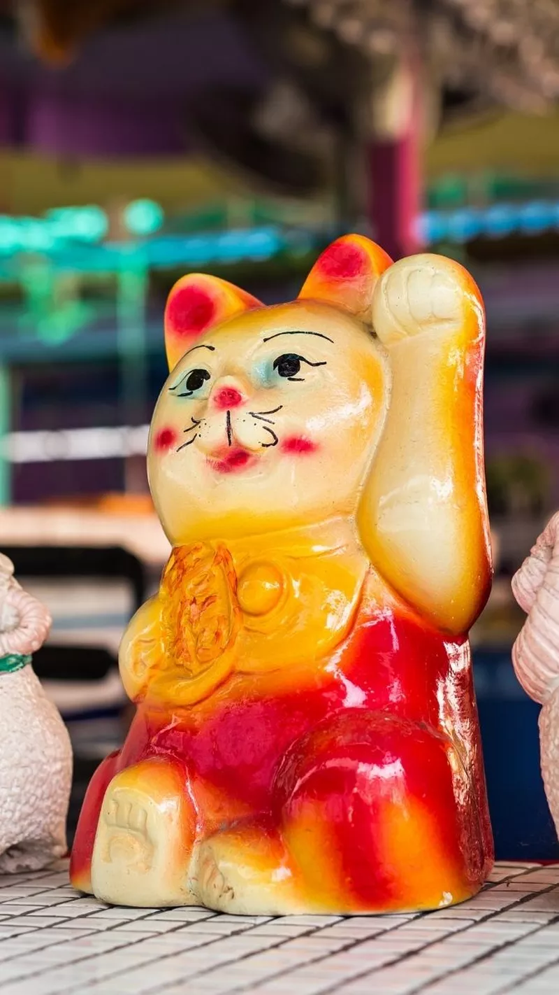 hình nền mèo thần tài 30