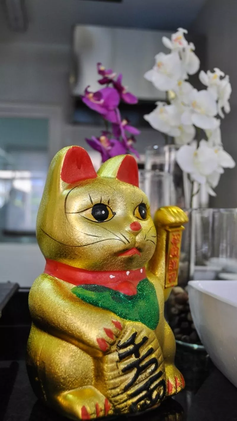 hình nền mèo thần tài 31