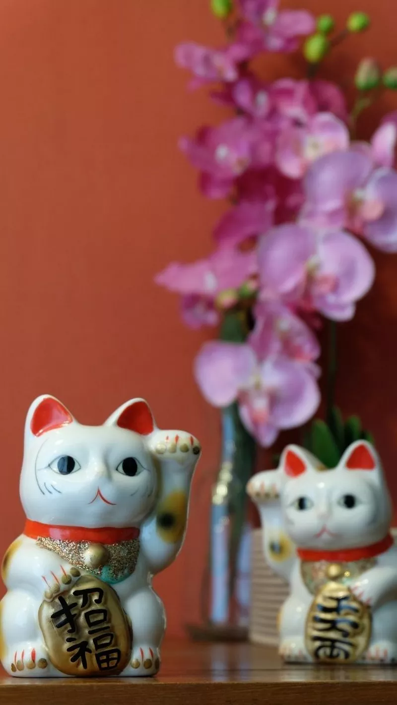 hình nền mèo thần tài 32