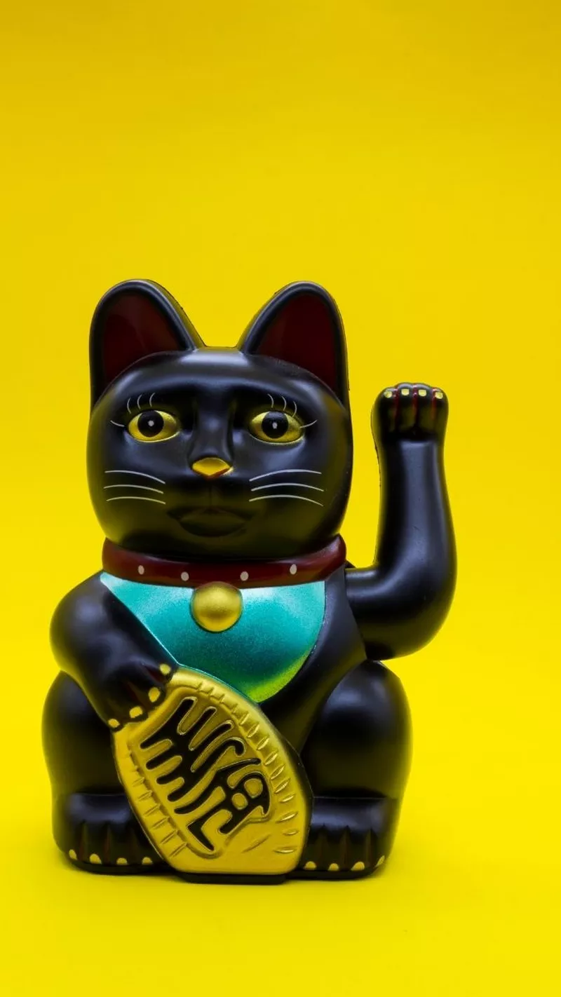 hình nền mèo thần tài 33