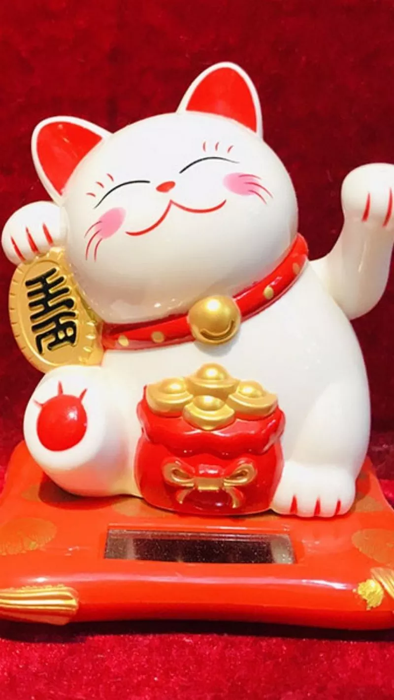 hình nền mèo thần tài 34