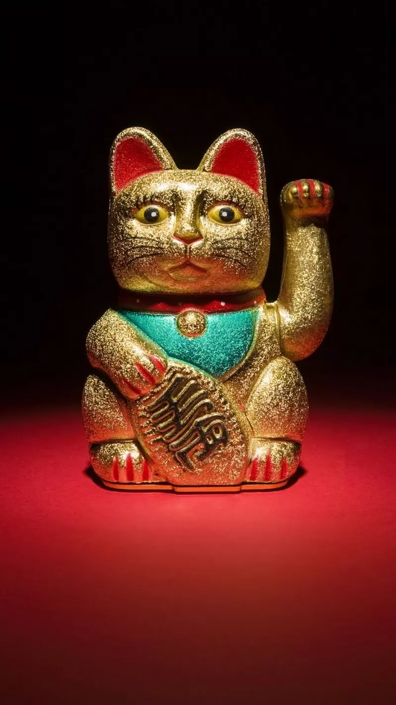 hình nền mèo thần tài 48