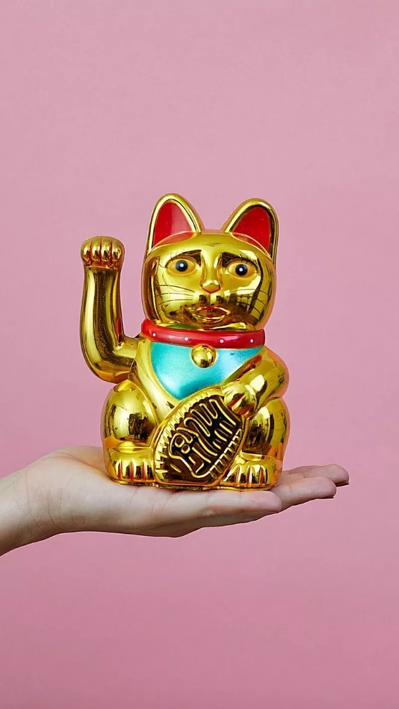 hình nền mèo thần tài 49