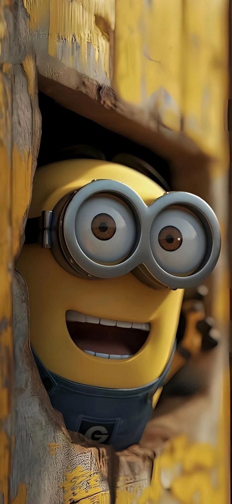 hình nền Minions 5