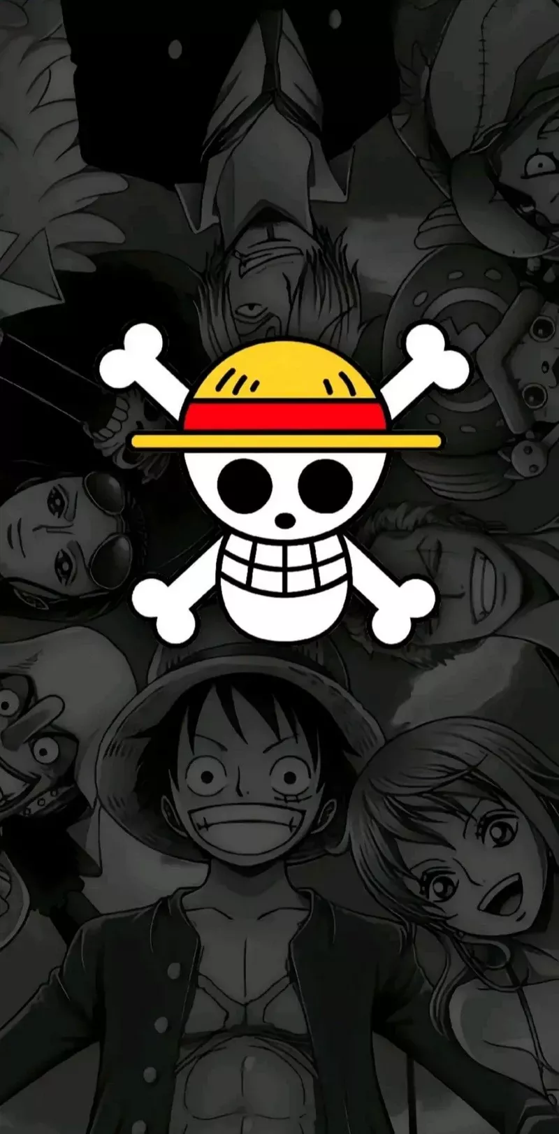 hình nền one piece 31