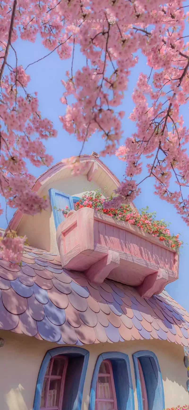 hình nền phong cảnh 37