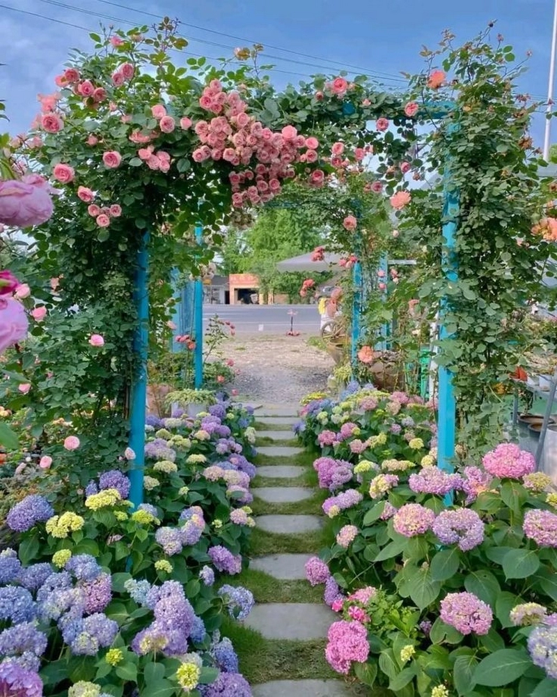 hình nền sân vườn đẹp 5