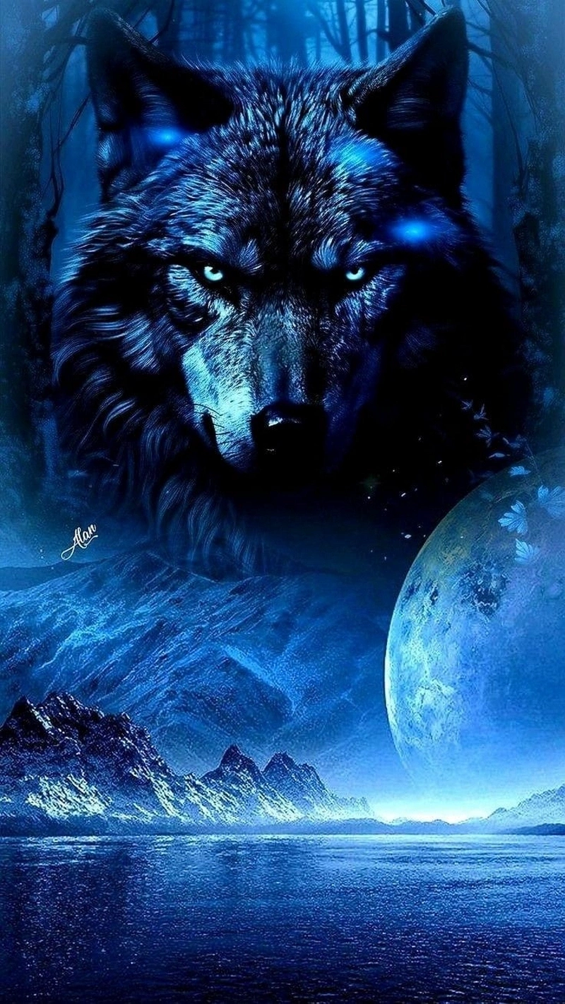 hình nền sói cô độc 35