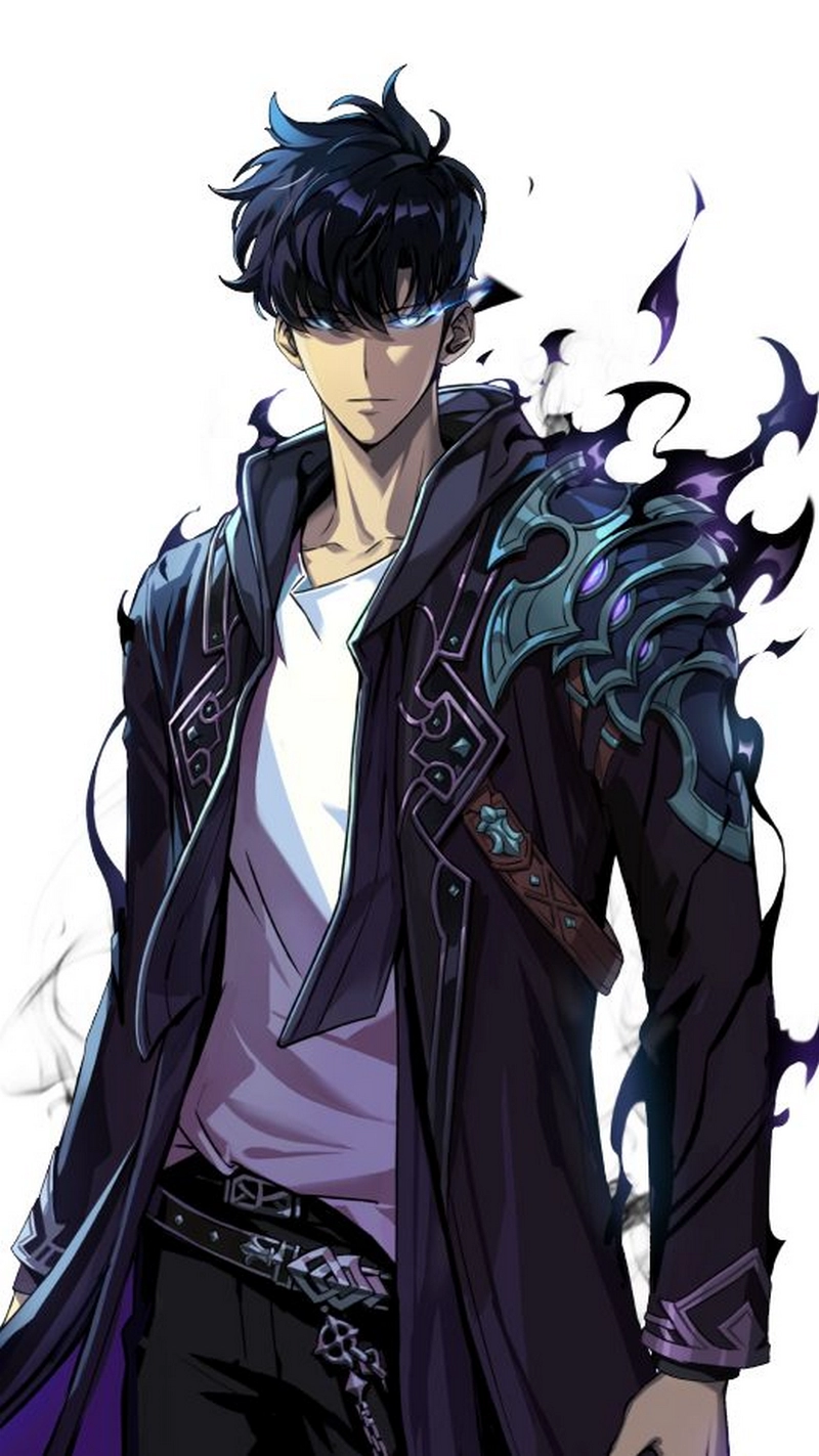 hình nền solo leveling 11