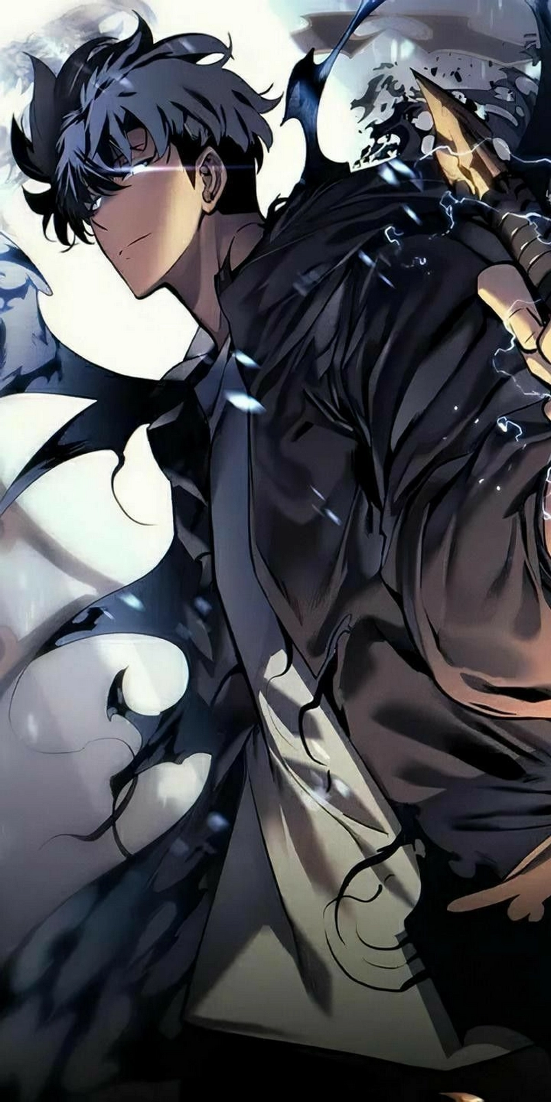 hình nền solo leveling 14