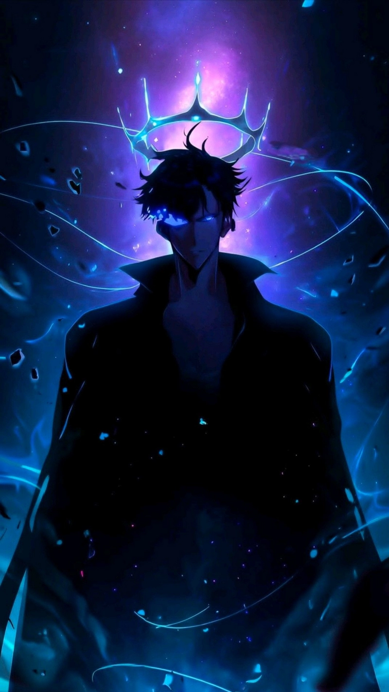 hình nền solo leveling 34